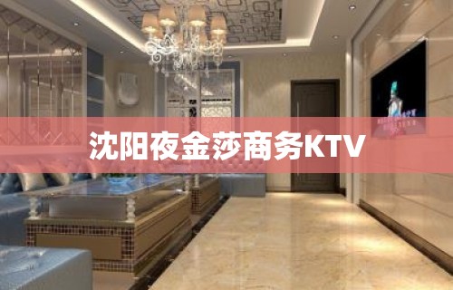 沈阳夜金莎商务KTV