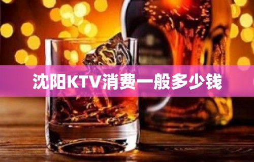 沈阳KTV消费一般多少钱