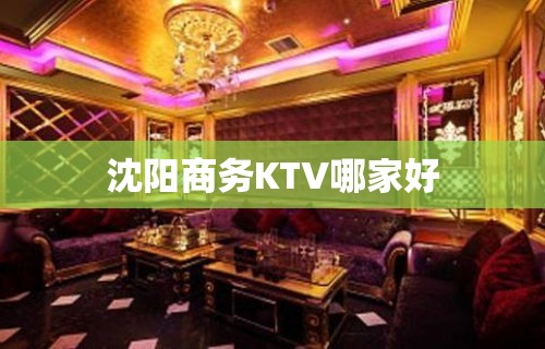 沈阳商务KTV哪家好