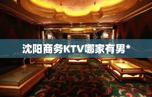 沈阳商务KTV哪家有男*