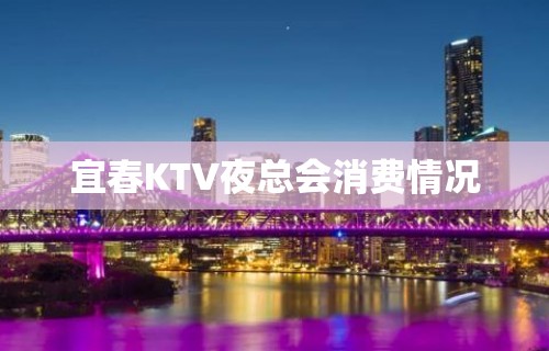 宜春KTV夜总会消费情况