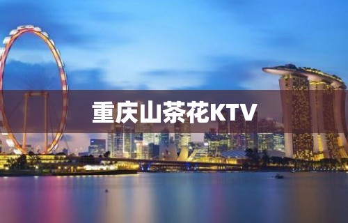 重庆山茶花KTV