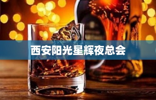 西安阳光星辉夜总会