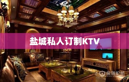 盐城私人订制KTV