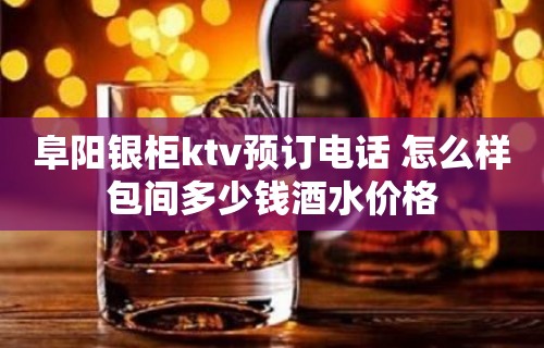 阜阳银柜ktv预订电话 怎么样包间多少钱酒水价格