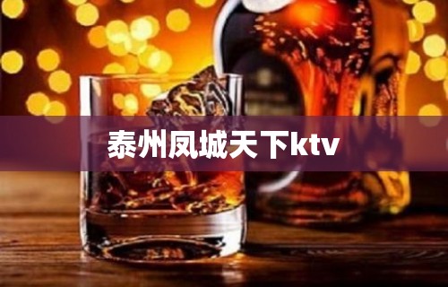 泰州凤城天下ktv