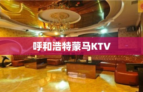 呼和浩特蒙马KTV