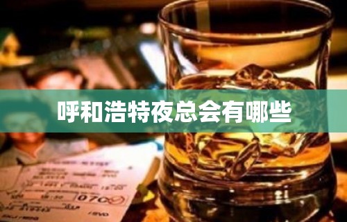 呼和浩特夜总会有哪些