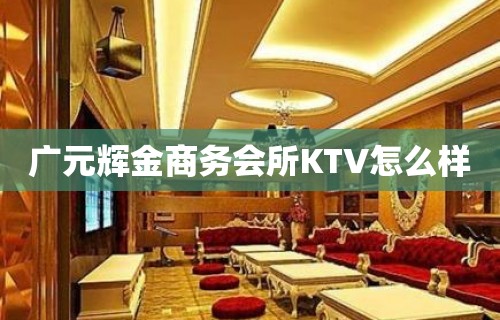 广元辉金商务会所KTV怎么样