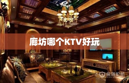 廊坊哪个KTV好玩