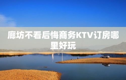 廊坊不看后悔商务KTV订房哪里好玩