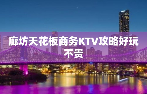 廊坊天花板商务KTV攻略好玩不贵