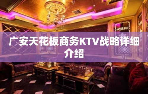 广安天花板商务KTV战略详细介绍