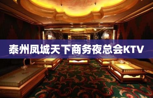 泰州凤城天下商务夜总会KTV