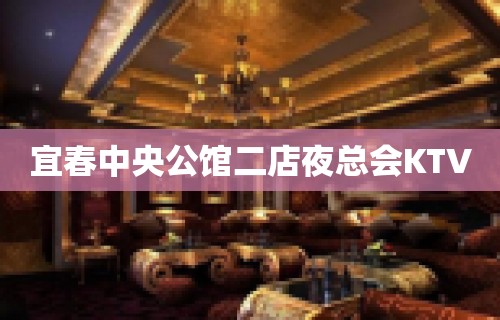 宜春中央公馆二店夜总会KTV