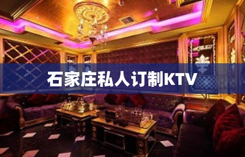 石家庄私人订制KTV