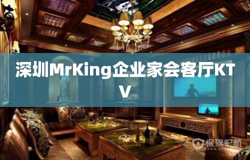 深圳MrKing企业家会客厅KTV