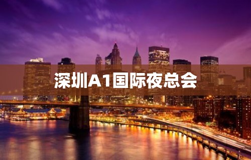 深圳A1国际夜总会