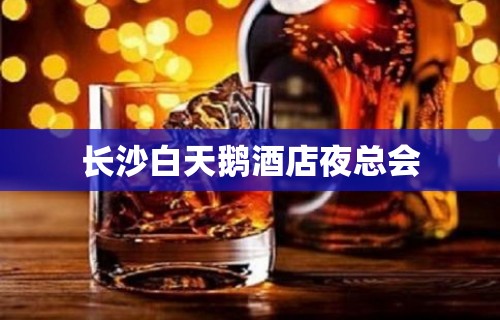 长沙白天鹅酒店夜总会