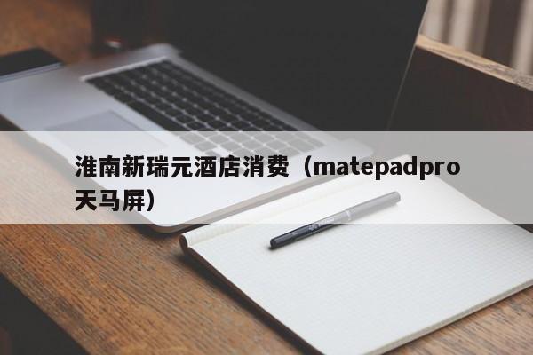 淮南新瑞元酒店消费（matepadpro天马屏）