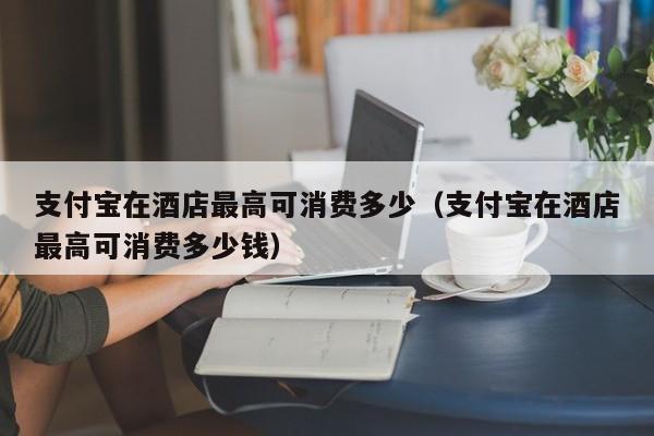 支付宝在酒店最高可消费多少（支付宝在酒店最高可消费多少钱）