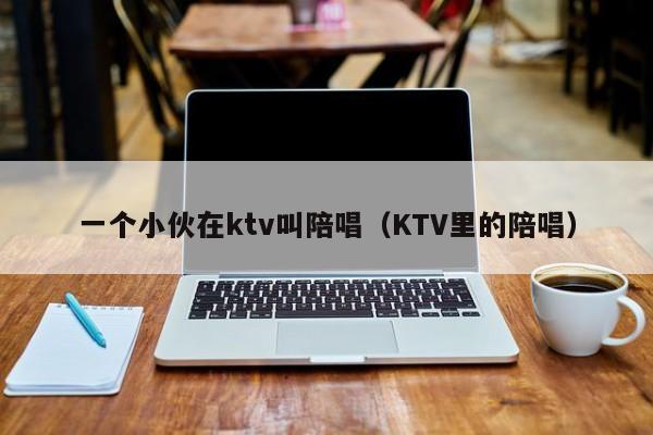 一个小伙在ktv叫陪唱歌（KTV里的陪唱歌）