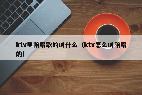 ktv里陪唱歌歌的叫什么（ktv怎么叫陪唱歌的）