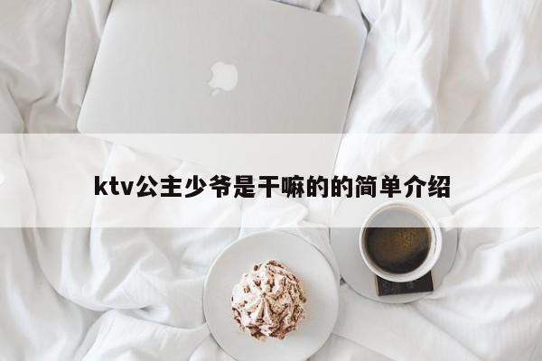 ktv公主少爷是干嘛的的简单介绍