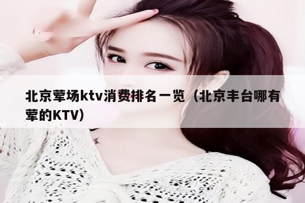 北京荤场ktv消费排名一览（北京丰台哪有荤的KTV）