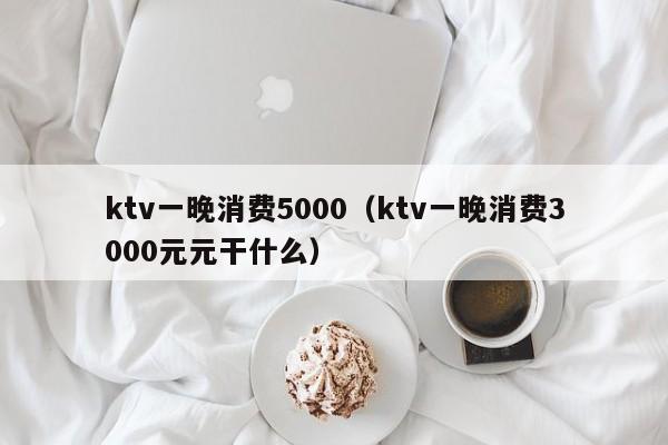 ktv一晚消费5000（ktv一晚消费3000元元干什么）