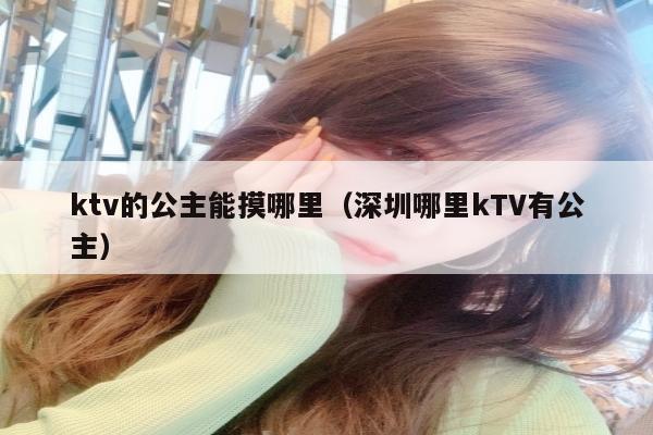 ktv的公主能摸哪里（深圳哪里kTV有公主）