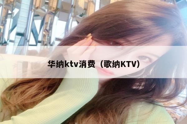 华纳ktv消费（歌纳KTV）