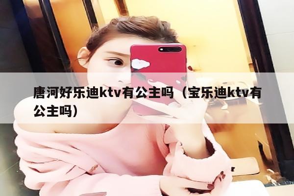 唐河好乐迪ktv有公主吗（宝乐迪ktv有公主吗）