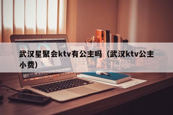 武汉星聚会ktv有公主吗（武汉ktv公主小费）