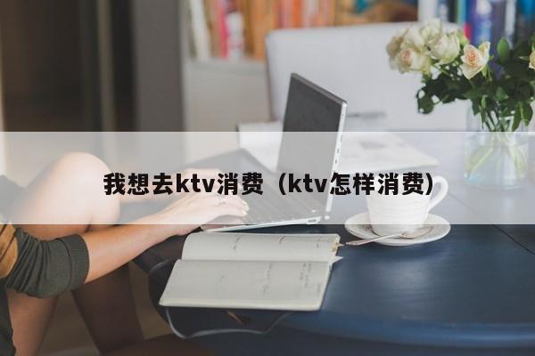 我想去ktv消费（ktv怎样消费）