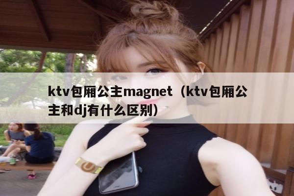 ktv包厢公主magnet（ktv包厢公主和dj有什么区别）